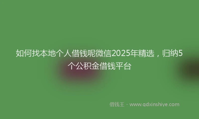 如何找本地个人借钱呢微信2025年精选，归纳5个公积金借钱平台