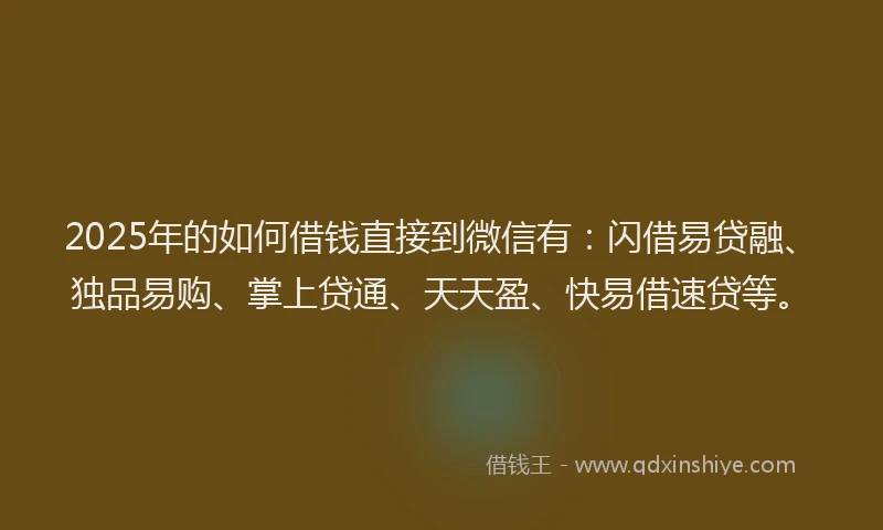 2025年的如何借钱直接到微信有：闪借易贷融、独品易购、掌上贷通、天天盈、快易借速贷等。