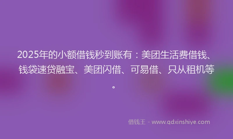 2025年的小额借钱秒到账有：美团生活费借钱、钱袋速贷融宝、美团闪借、可易借、只从租机等。