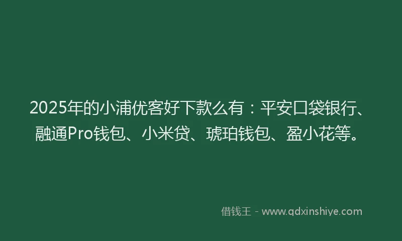 2025年的小浦优客好下款么有：平安口袋银行、融通Pro钱包、小米贷、琥珀钱包、盈小花等。