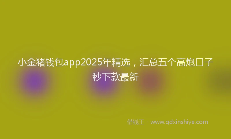 小金猪钱包app2025年精选，汇总五个高炮口子秒下款最新
