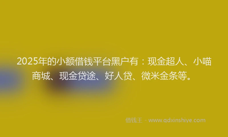 2025年的小额借钱平台黑户有：现金超人、小喵商城、现金贷途、好人贷、微米金条等。