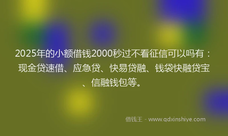 2025年的小额借钱2000秒过不看征信可以吗有：现金贷速借、应急贷、快易贷融、钱袋快融贷宝、信融钱包等。