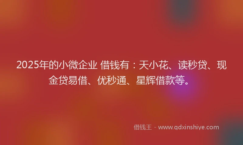 2025年的小微企业 借钱有：天小花、读秒贷、现金贷易借、优秒通、星辉借款等。