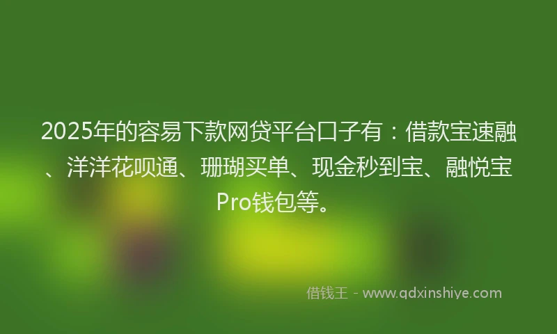 2025年的容易下款网贷平台口子有：借款宝速融、洋洋花呗通、珊瑚买单、现金秒到宝、融悦宝Pro钱包等。