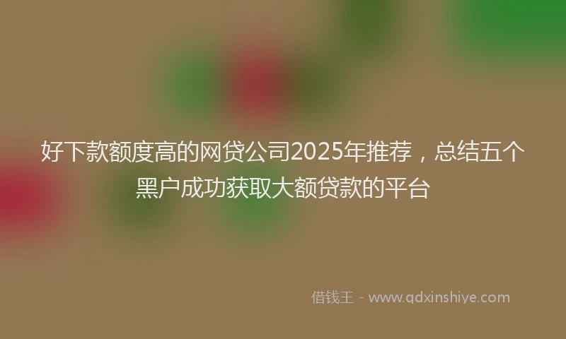 好下款额度高的网贷公司2025年推荐，总结五个黑户成功获取大额贷款的平台