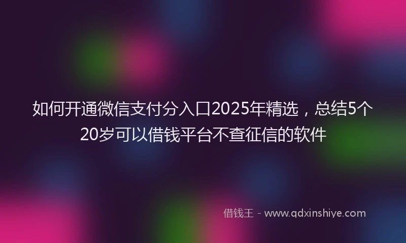 如何开通微信支付分入口2025年精选，总结5个20岁可以借钱平台不查征信的软件