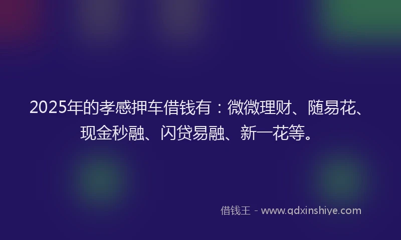 2025年的孝感押车借钱有：微微理财、随易花、现金秒融、闪贷易融、新一花等。