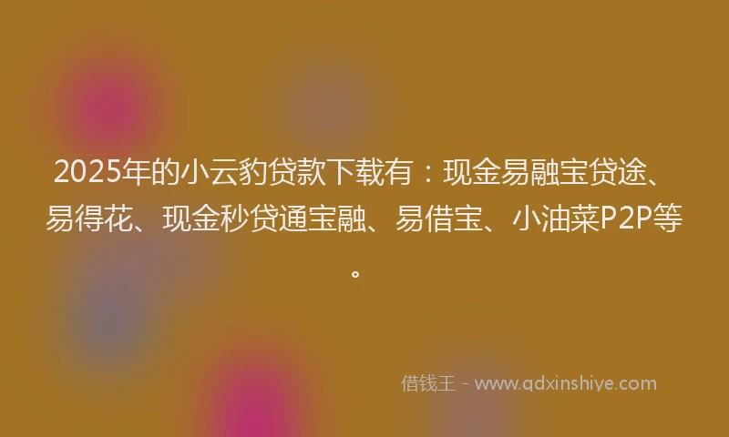 2025年的小云豹贷款下载有：现金易融宝贷途、易得花、现金秒贷通宝融、易借宝、小油菜P2P等。