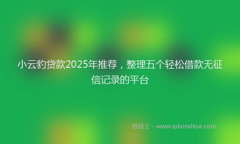 小云豹贷款2025年推荐，整理五个轻松借款无征信记录的平台