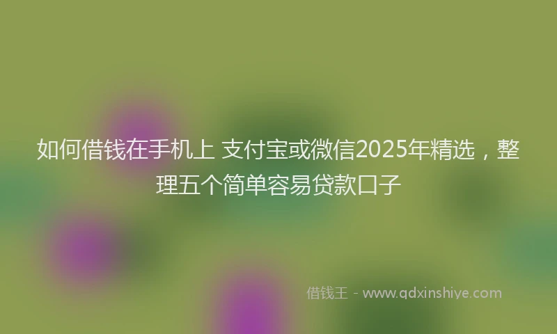 如何借钱在手机上 支付宝或微信2025年精选，整理五个简单容易贷款口子