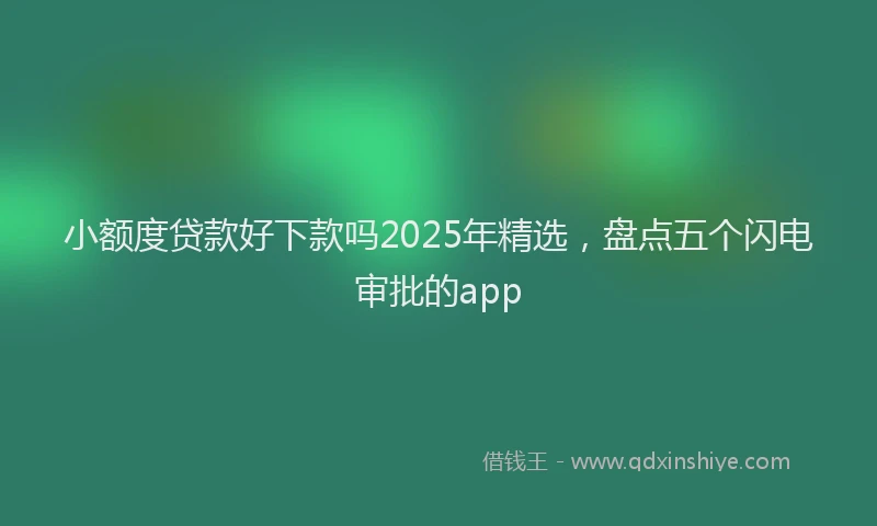小额度贷款好下款吗2025年精选，盘点五个闪电审批的app