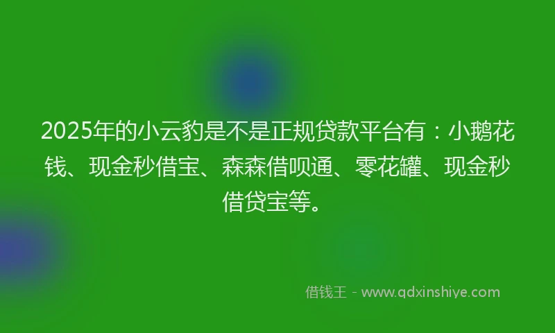 2025年的小云豹是不是正规贷款平台有：小鹅花钱、现金秒借宝、森森借呗通、零花罐、现金秒借贷宝等。