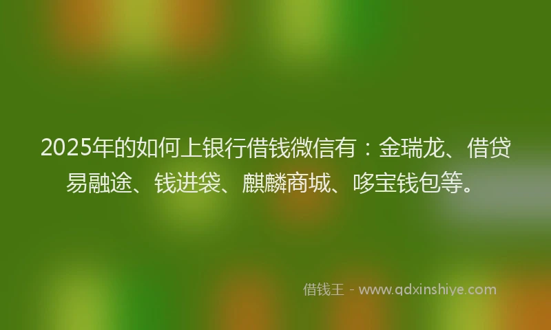 2025年的如何上银行借钱微信有：金瑞龙、借贷易融途、钱进袋、麒麟商城、哆宝钱包等。