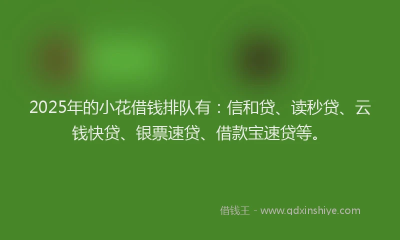 2025年的小花借钱排队有：信和贷、读秒贷、云钱快贷、银票速贷、借款宝速贷等。