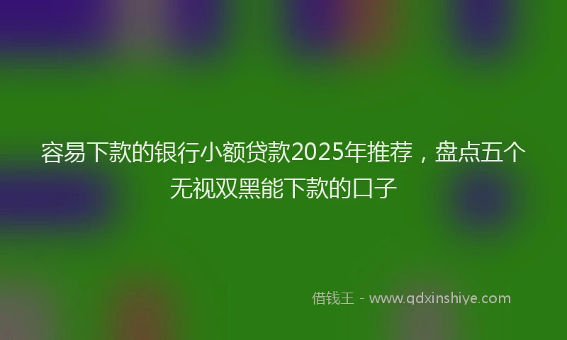 容易下款的银行小额贷款2025年推荐，盘点五个无视双黑能下款的口子
