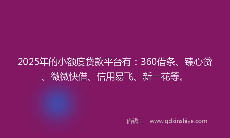 2025年的小额度贷款平台有：360借条、臻心贷、微微快借、信用易飞、新一花等。