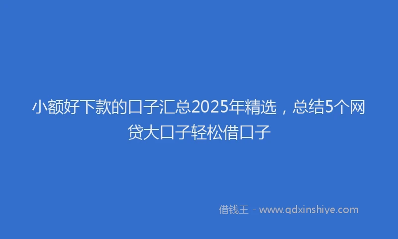 小额好下款的口子汇总2025年精选，总结5个网贷大口子轻松借口子