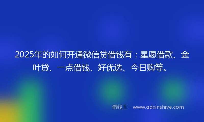 2025年的如何开通微信贷借钱有：星愿借款、金叶贷、一点借钱、好优选、今日购等。
