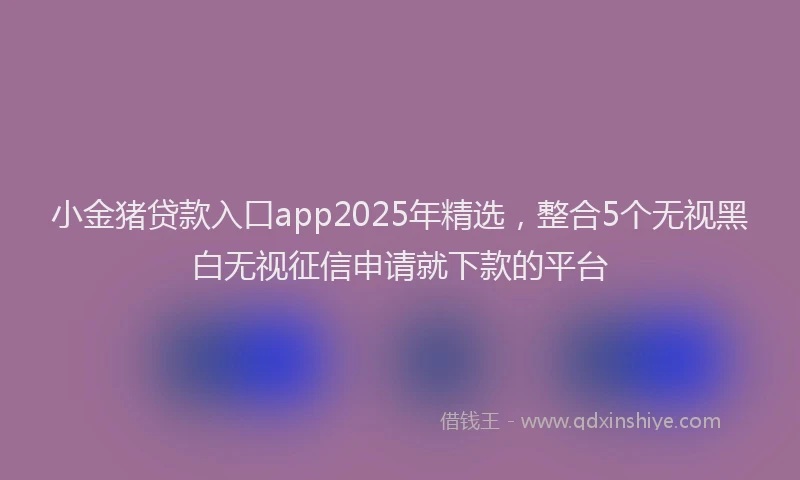 小金猪贷款入口app2025年精选，整合5个无视黑白无视征信申请就下款的平台