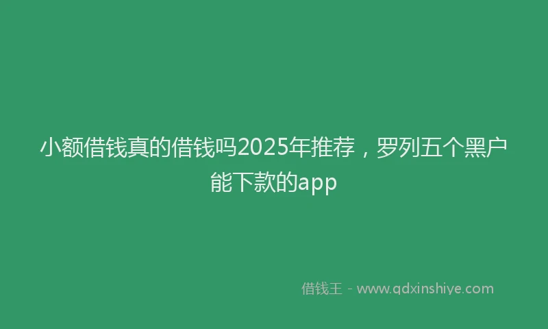 小额借钱真的借钱吗2025年推荐,罗列五个黑户能下款的app