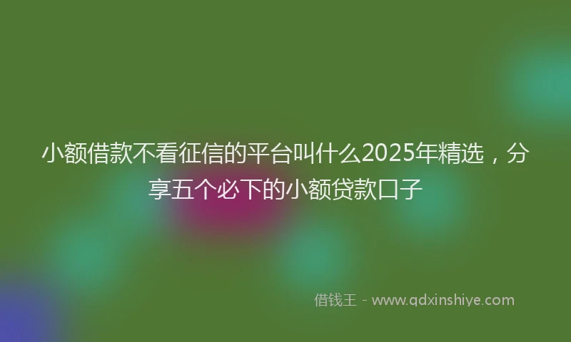 小额借款不看征信的平台叫什么2025年精选，分享五个必下的小额贷款口子