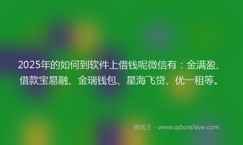 2025年的如何到软件上借钱呢微信有：金满盈、借款宝易融、金瑞钱包、星海飞贷、优一租等。