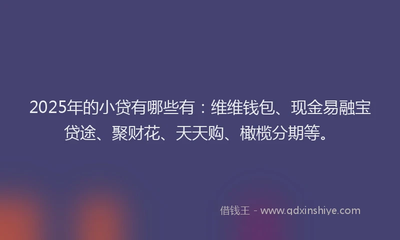 2025年的小贷有哪些有：维维钱包、现金易融宝贷途、聚财花、天天购、橄榄分期等。