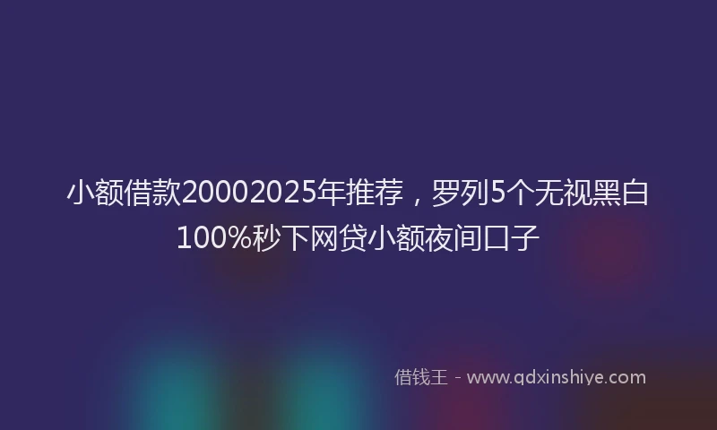 小额借款20002025年推荐，罗列5个无视黑白100%秒下网贷小额夜间口子