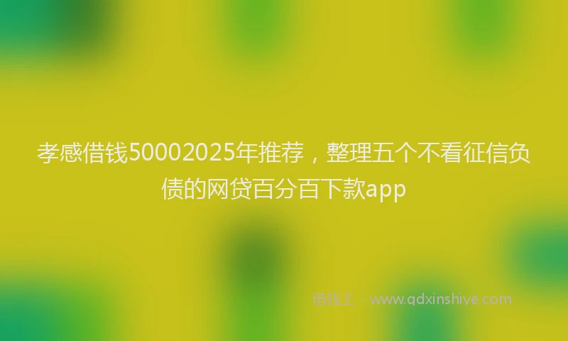孝感借钱50002025年推荐，整理五个不看征信负债的网贷百分百下款app
