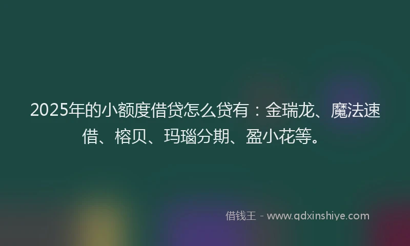 2025年的小额度借贷怎么贷有：金瑞龙、魔法速借、榕贝、玛瑙分期、盈小花等。