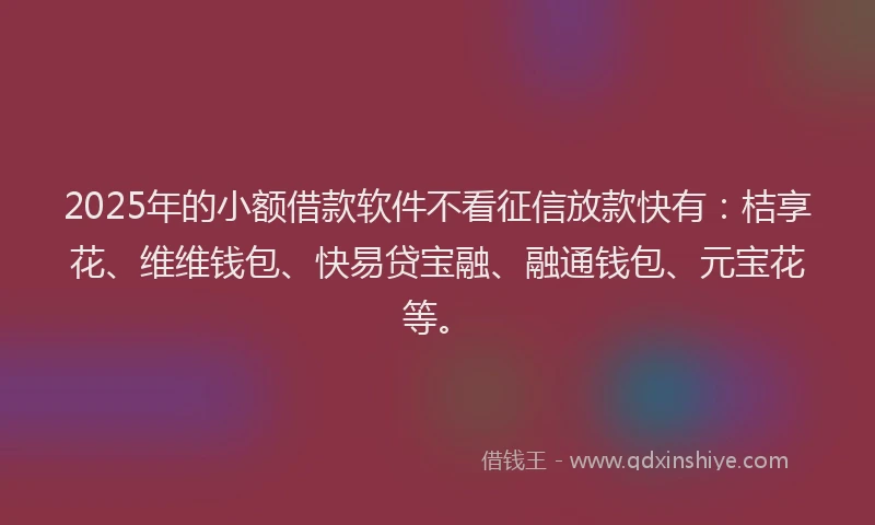 2025年的小额借款软件不看征信放款快有：桔享花、维维钱包、快易贷宝融、融通钱包、元宝花等。