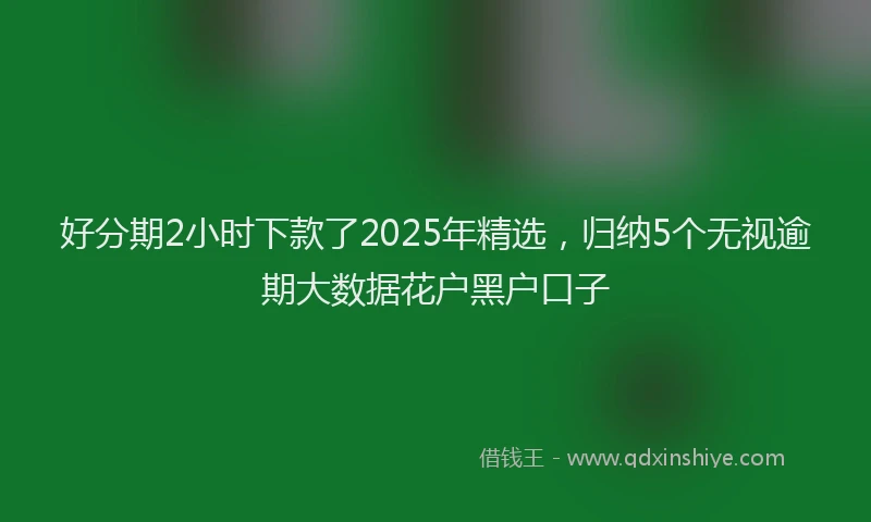 好分期2小时下款了2025年精选，归纳5个无视逾期大数据花户黑户口子