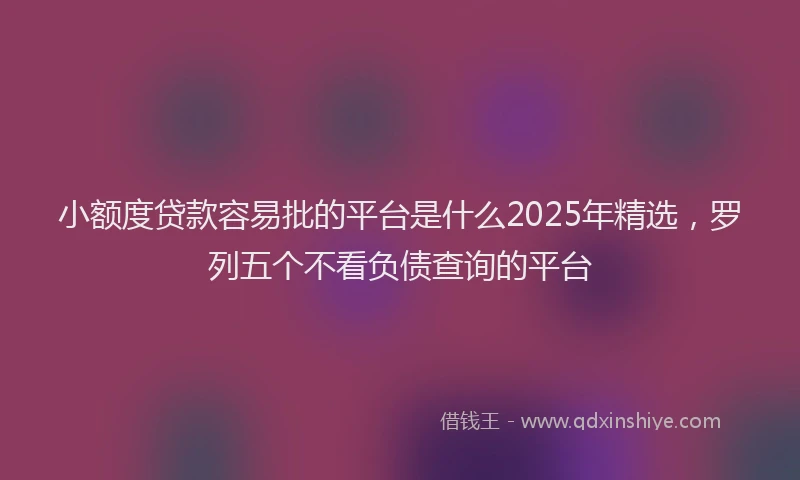小额度贷款容易批的平台是什么2025年精选，罗列五个不看负债查询的平台