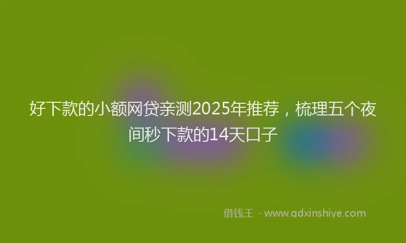 好下款的小额网贷亲测2025年推荐，梳理五个夜间秒下款的14天口子