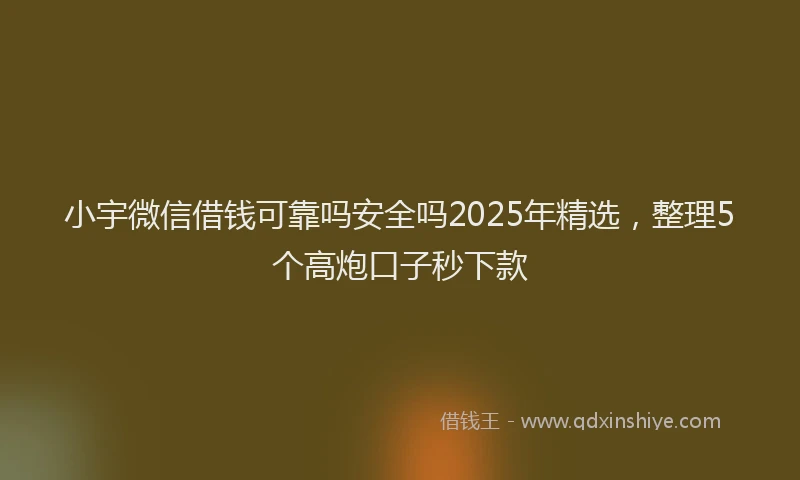 小宇微信借钱可靠吗安全吗2025年精选，整理5个高炮口子秒下款