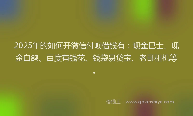 2025年的如何开微信付呗借钱有：现金巴士、现金白鸽、百度有钱花、钱袋易贷宝、老哥租机等。