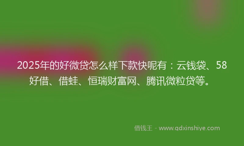 2025年的好微贷怎么样下款快呢有：云钱袋、58好借、借蛙、恒瑞财富网、腾讯微粒贷等。