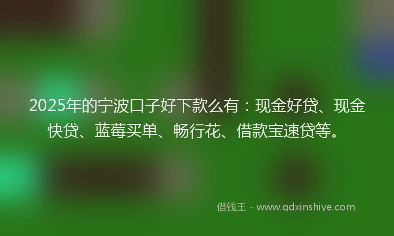 2025年的宁波口子好下款么有：现金好贷、现金快贷、蓝莓买单、畅行花、借款宝速贷等。