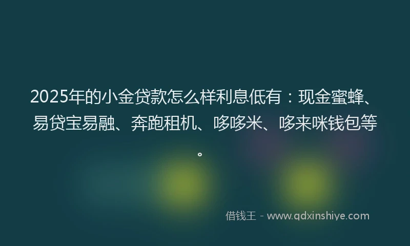 2025年的小金贷款怎么样利息低有：现金蜜蜂、易贷宝易融、奔跑租机、哆哆米、哆来咪钱包等。