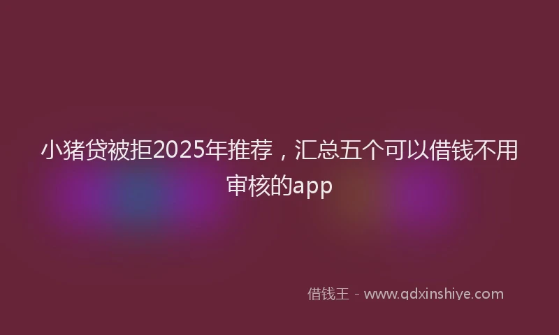 小猪贷被拒2025年推荐，汇总五个可以借钱不用审核的app
