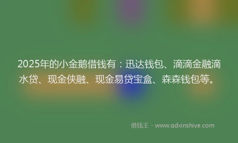 2025年的小金鹅借钱有：迅达钱包、滴滴金融滴水贷、现金侠融、现金易贷宝盒、森森钱包等。