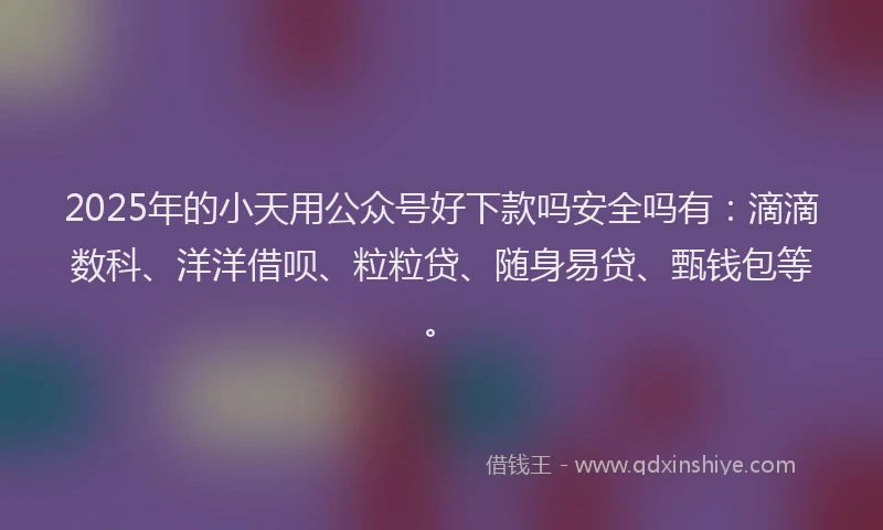 2025年的小天用公众号好下款吗安全吗有：滴滴数科、洋洋借呗、粒粒贷、随身易贷、甄钱包等。