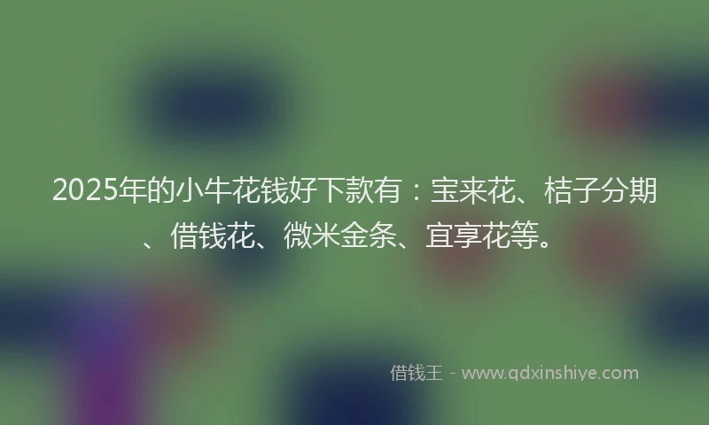 2025年的小牛花钱好下款有：宝来花、桔子分期、借钱花、微米金条、宜享花等。