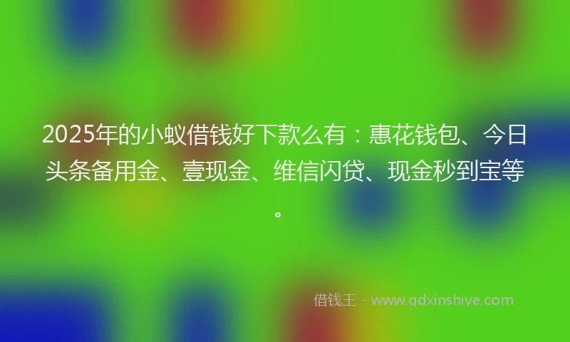 2025年的小蚁借钱好下款么有：惠花钱包、今日头条备用金、壹现金、维信闪贷、现金秒到宝等。