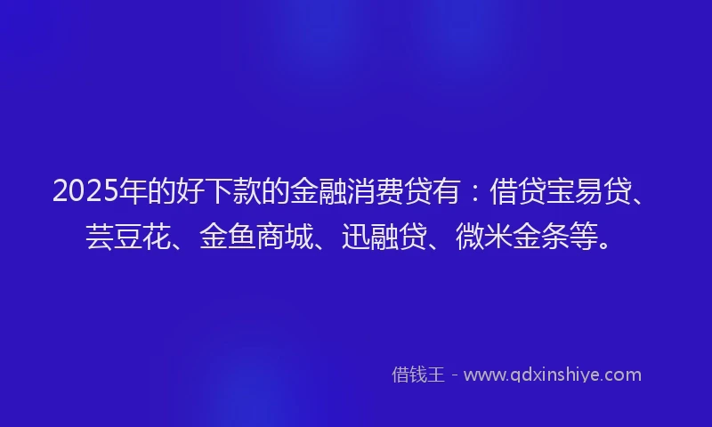2025年的好下款的金融消费贷有：借贷宝易贷、芸豆花、金鱼商城、迅融贷、微米金条等。