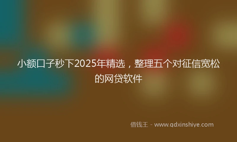 小额口子秒下2025年精选，整理五个对征信宽松的网贷软件