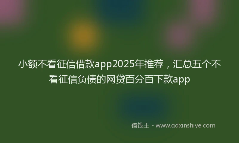 小额不看征信借款app2025年推荐，汇总五个不看征信负债的网贷百分百下款app