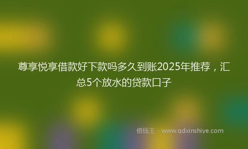 尊享悦享借款好下款吗多久到账2025年推荐，汇总5个放水的贷款口子