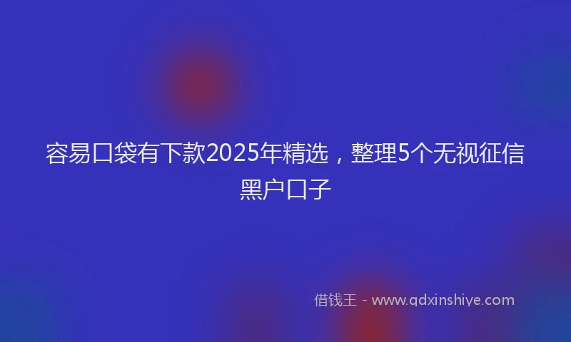 容易口袋有下款2025年精选，整理5个无视征信黑户口子
